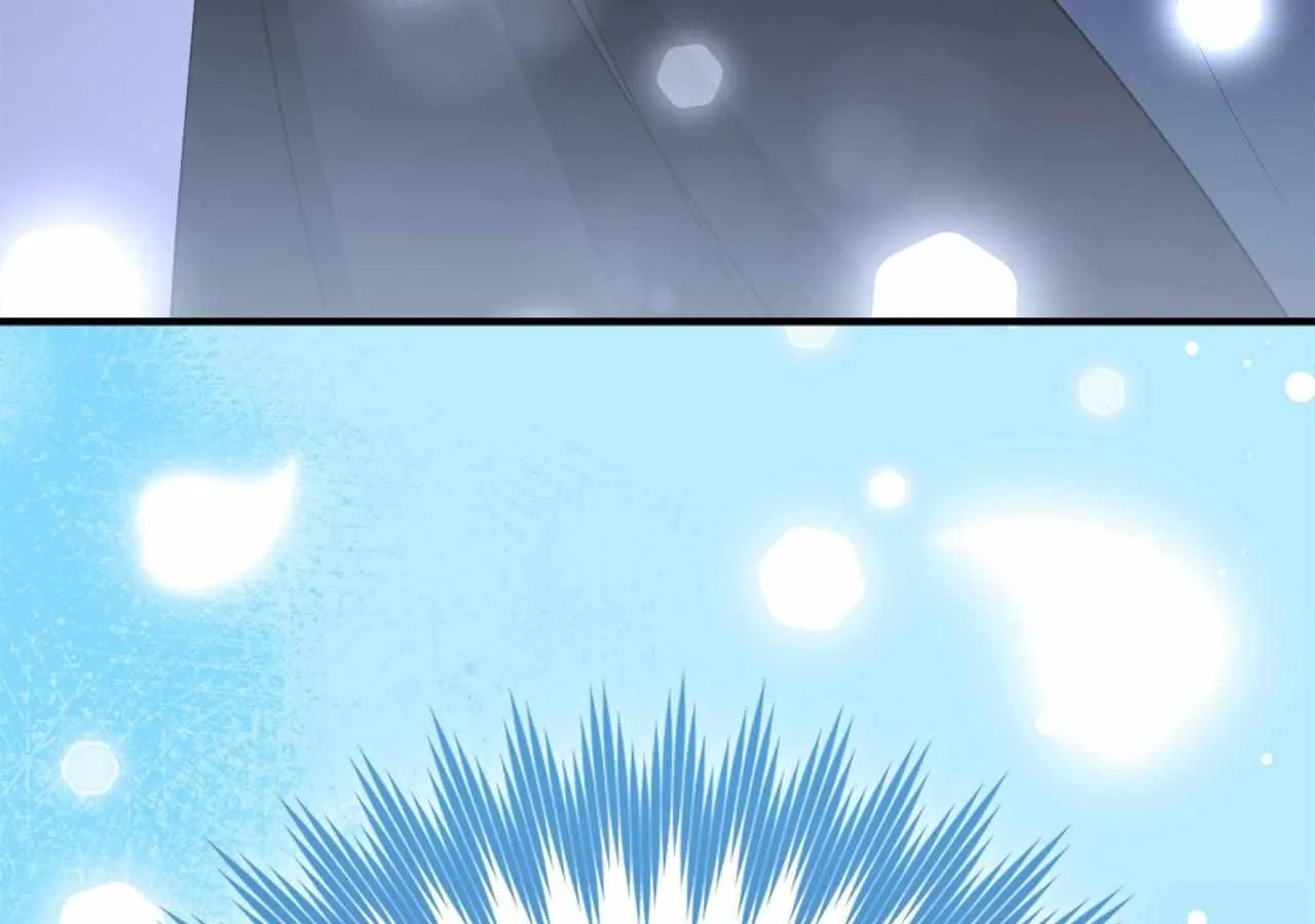 Page 219