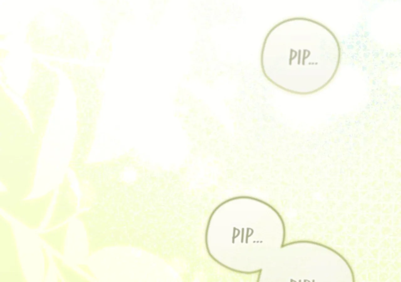 Page 243